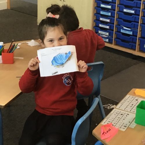Whale